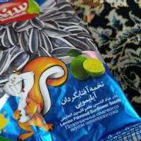 تخمه سنجاقک