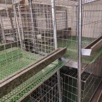 فروش دستگاه جوجه کشی و قفس مرغ