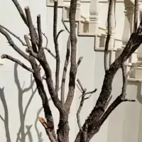 اجاره-اتاق-به-همکار