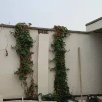منزل-ویلایی-لنگک-تخلیه