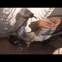 موتور پاکشتی هوندا