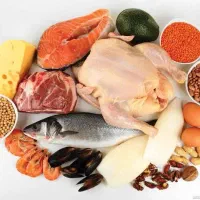 نماینده برای کار در پروتیینی