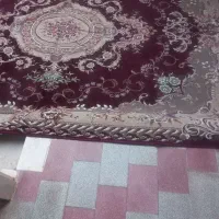 قالی ۱۲متری دست دوم