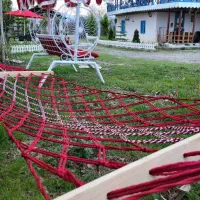 بومگردی دربست جنگلی