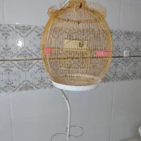 قفس پرنده