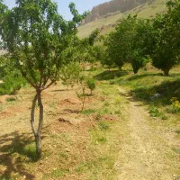 کارگر باغ