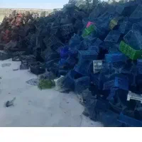 خرید و فروش انواع سبد میوه و کارتن موزی