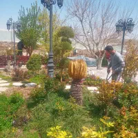 خدمات باغبانی سم پاشی هرس تعویض خاک گلدان