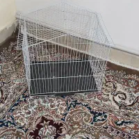سلام دوعددقفس به فروش میرسد