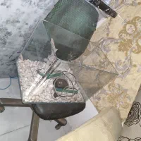 آکواریوم