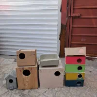 لونه مرغ عشق و کوتوله و..