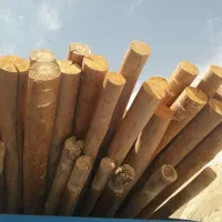 خرید انواع چوب
