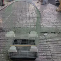 قفس