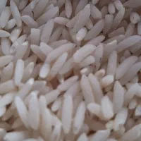 برنج هاشمی 450000