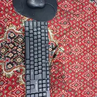 موس و کیبورد