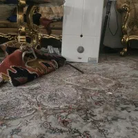 آبگرمکن دیواری بوتان