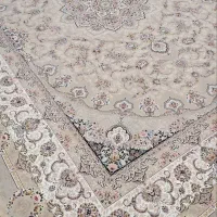 فرش زیبایی ها  با همه رنگ بندی