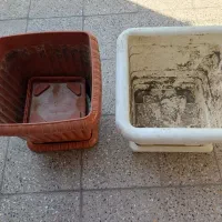 ۵ عدد گلدان هر کدام دانه ایی ۶۰۰ هزار تومان