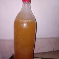 فروش آبغوره و لوبیا سبز