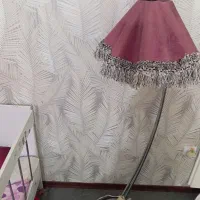 آباژور یا همون کنارسالنی
