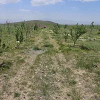 باغ-درسهرین-لب-اتوبان-جدید-قره-پشتلو
