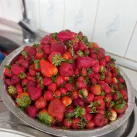مربا و شربت توتفرنگی