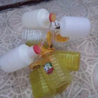 دبه ترشی وخیارشور