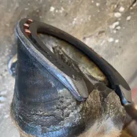 قیار و نعلبندی