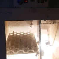 دستگاه جوجه کشی۶۵ تایی