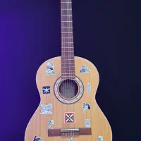 گیتار کلاسیک پارسی M5