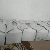 خیار گلخانه ای