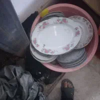 ظروف چینی نو