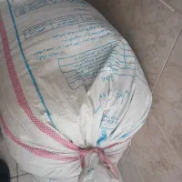 فروش گندم نو دیمی