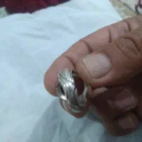 نقره|جواهرات|رشت, جانبازان|دیوار