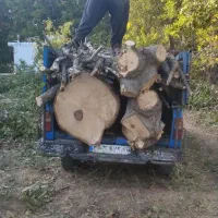 خرید انواع چوب بصورت نقد