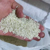 فروش عمده برنج عنبربو