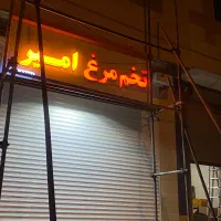 «پخش تخم مرغ»