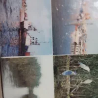 قایق سواری تعاونی مجاز