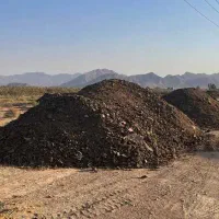 کود|گل و گیاه طبیعی|شیراز, کوشک بیدک|دیوار