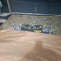 روتختی|سرویس روتختی|چهاردانگه (تهران), |دیوار