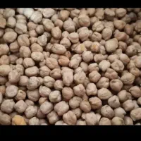 نخود درجه یک و حرفه ای
