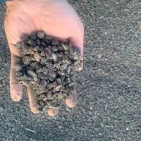 پوکه کردستان