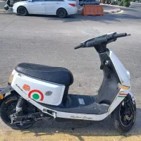 متور فروشی ف ور ی