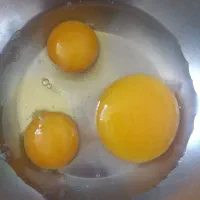تخم غاز