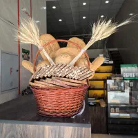 شاطرحرفه ای و وردست