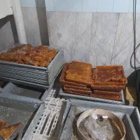 نبات کاسه ای یزد