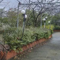 زمین-با-کاربری-مسکونی