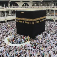 فروش فیش عمره