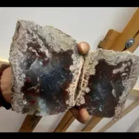 یک جفت عقیق شجر کلکسیونی با قطر زیاد
