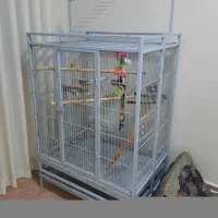 قفس بزرگ